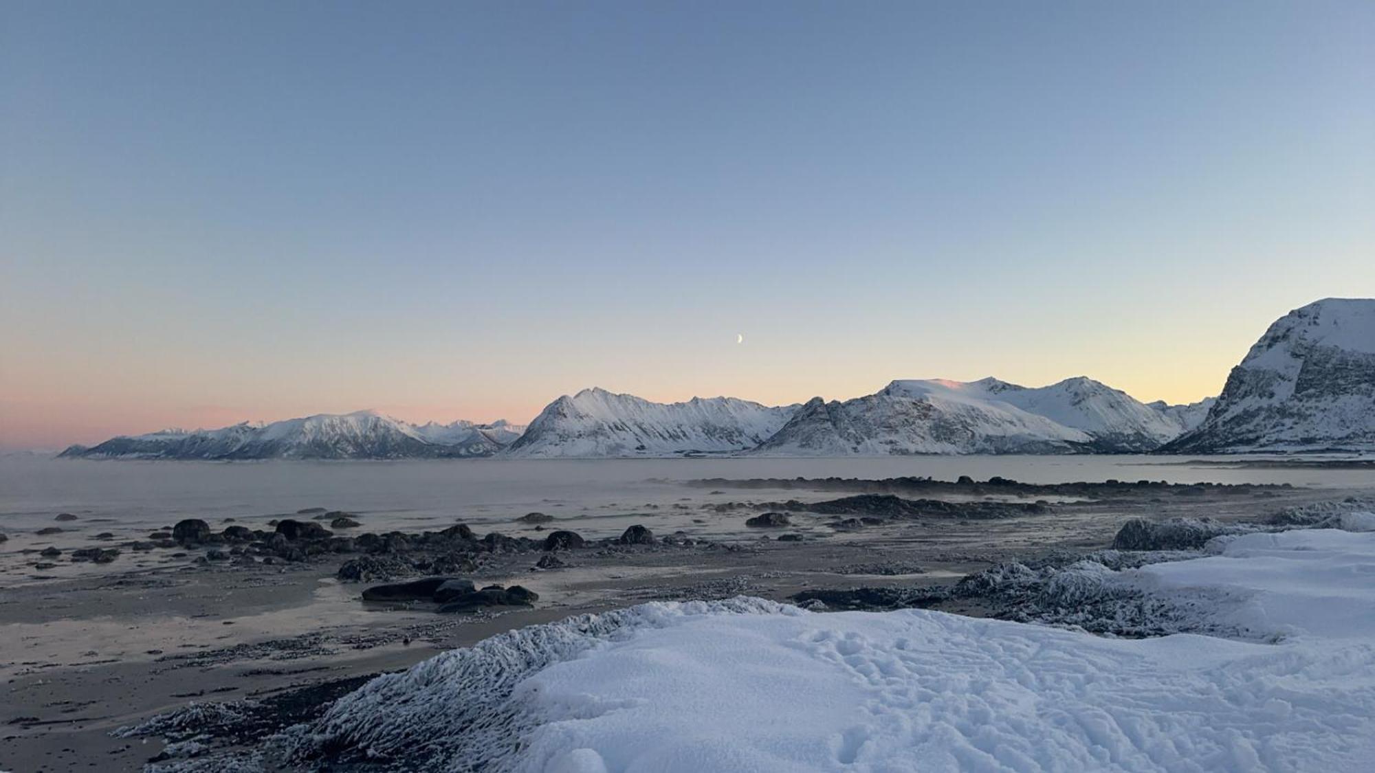 Unique Barnhouse In Amazing Gimsoy In Lofoten Saupstad  Eksteriør billede